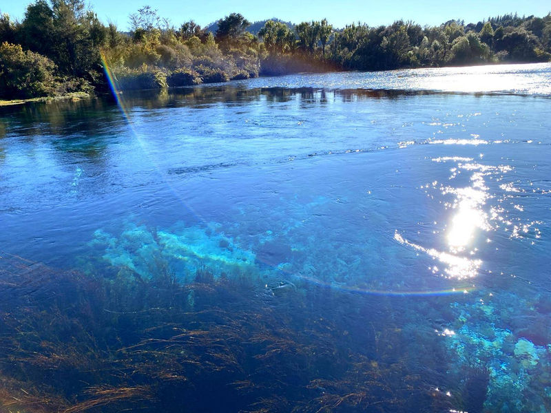 Te Waikoropupū Springs